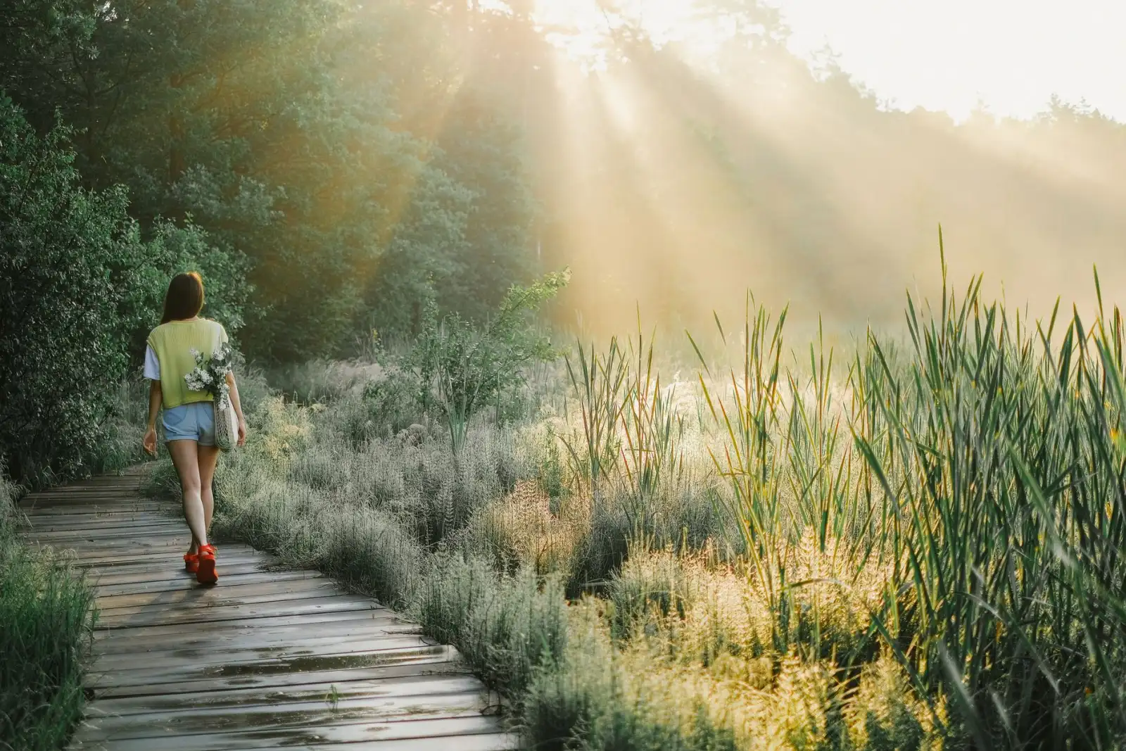 A woman walking a sunlit boardwalk path through tall grass, representing life and maintenance after a GLP-1.